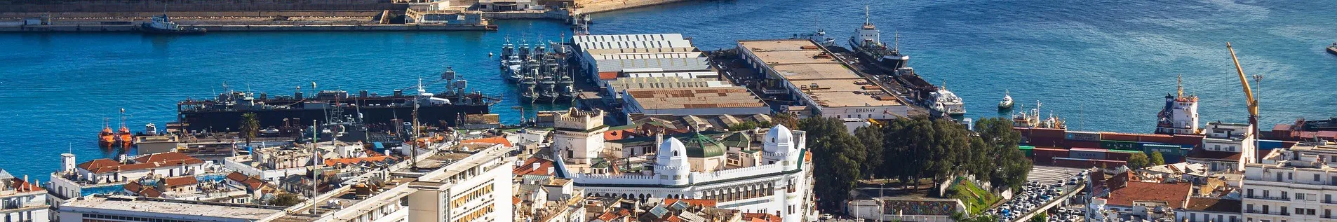 Business France Algérie