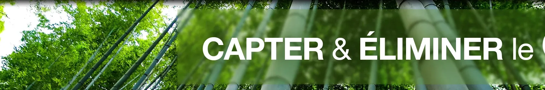 CAPTER et ELIMINER le CO2