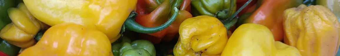 Victoria Agribusiness LTD