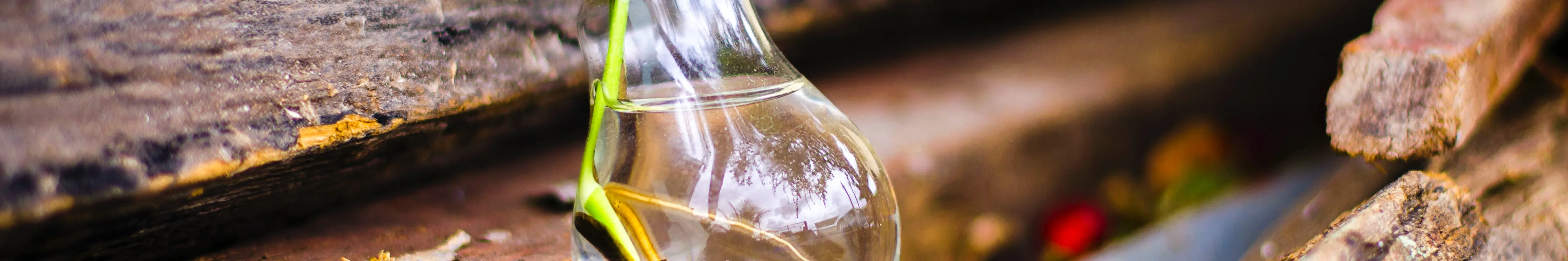All our innovation is geared towards green energy and protecting our planet.