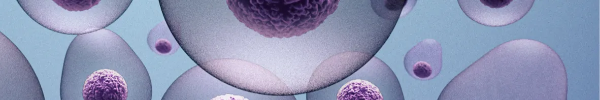 Encapsulated 3D Models
