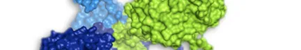 Towards a new generation of targeted therapeutics