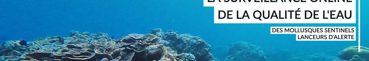 Image de fond d'ocean et texte de surveillance online de la qualite de l'eau