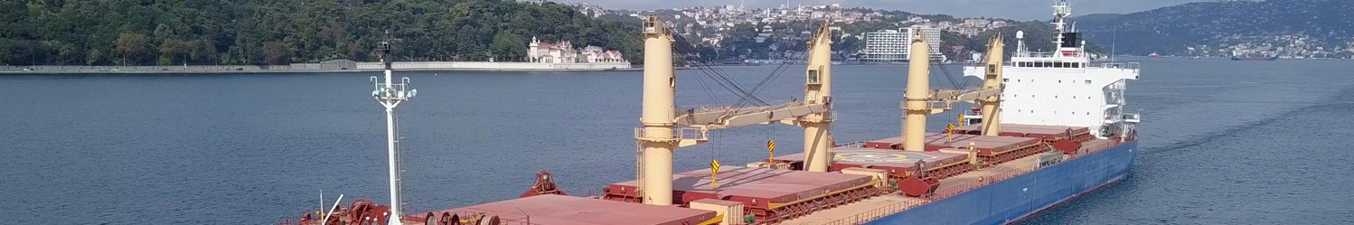 DryCargoShip
