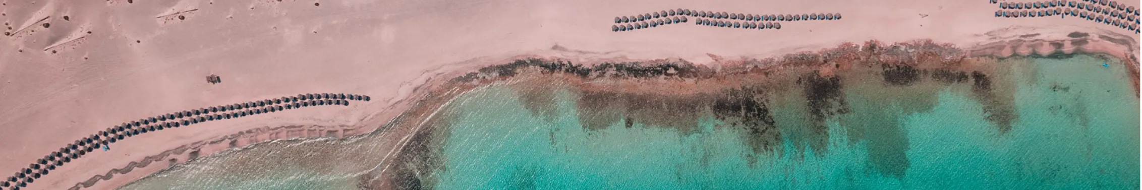The A.I. way to plan & book your vacation.