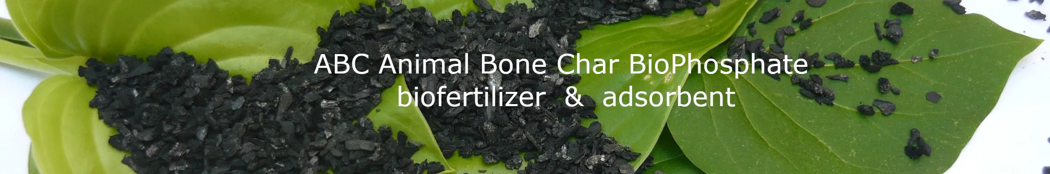 ABC Animal Bone Char BioPhosphate  for upcycled biofertilizer and water treatment adsorbent applications