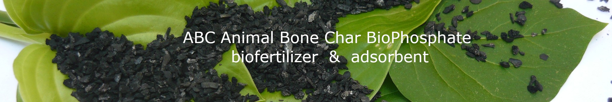 ABC Animal Bone Char BioPhosphate  for upcycled biofertilizer and water treatment adsorbent applications