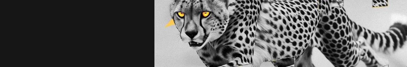guepard
