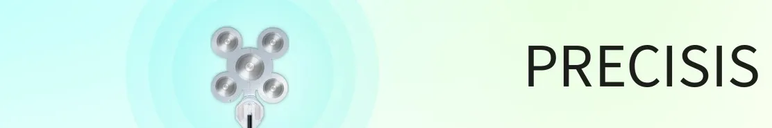 Precisis Banner