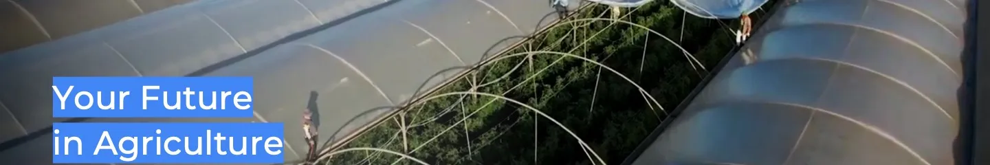 Plastic greenhouse covered with polyethylene shits