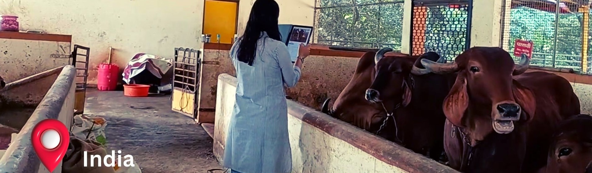 Halisi Field Test in India