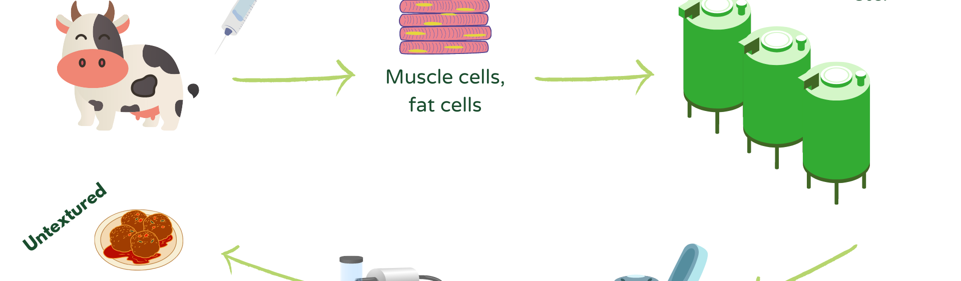 what is cultivated meat?