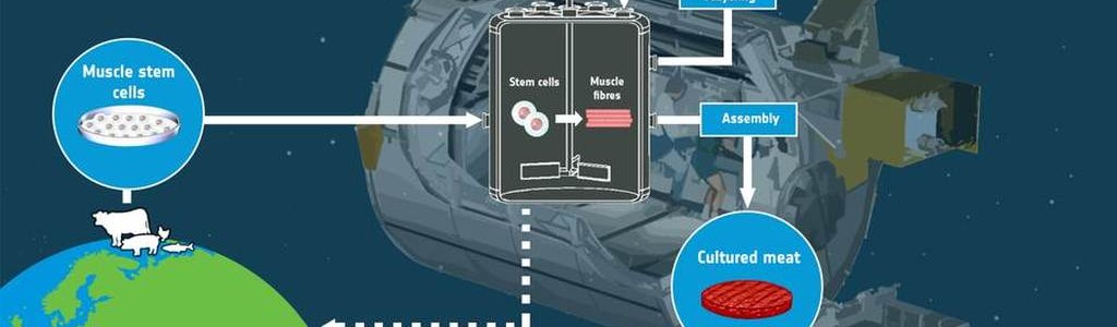 Cultivated Meat: The Future of Space Cuisine