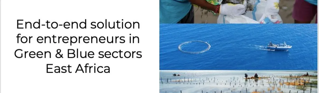 End to End Solution for Entrepreneurs in Green and Blue Economy Sector in East Africa