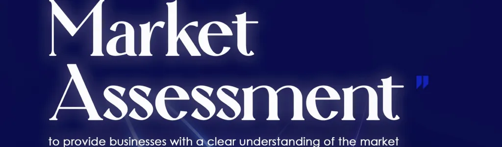 Market Assessment Service, by StartupXpand and Hubsmartup LTD