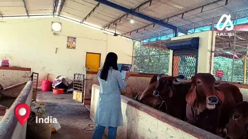 Halisi Field Test in India