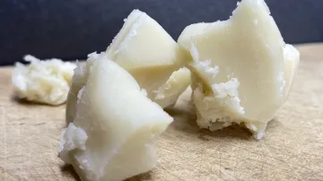 Plant-based fat