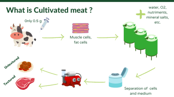 what is cultivated meat?