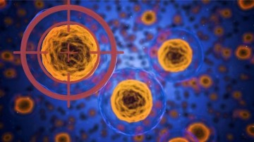 Cells-and-target