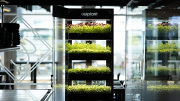 Ouiplant photo