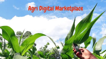 Agri Digital marketplace