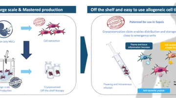 Steminov process