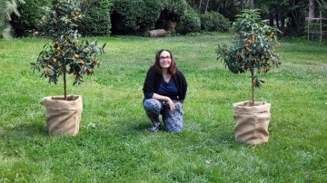 Photo d'emmanuelle avec 2 arbres loués