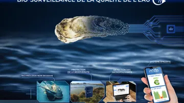 Les huitres connectées , illustrations de la polyvalence des lieux d'installation et des tableaux de bord statistiques