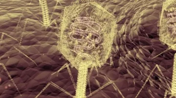 Bactériophages