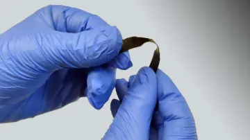 Materials for the future