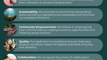 Alga Seaweed Ltd Core Values