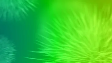 Banner image