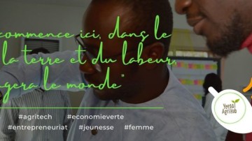 Image de présentation