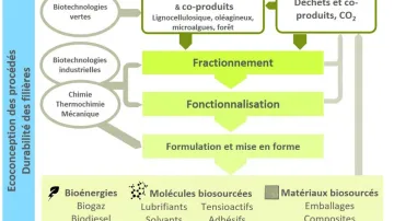 Image de présentation