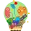 SpaceSalad Logo
