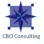 CBO Consulting-logo